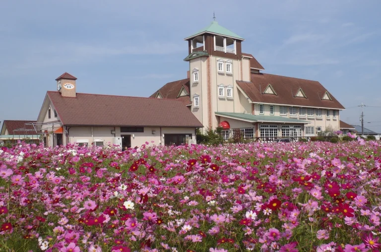 Higashi-Omi Aitou Margaret Station - Image 2