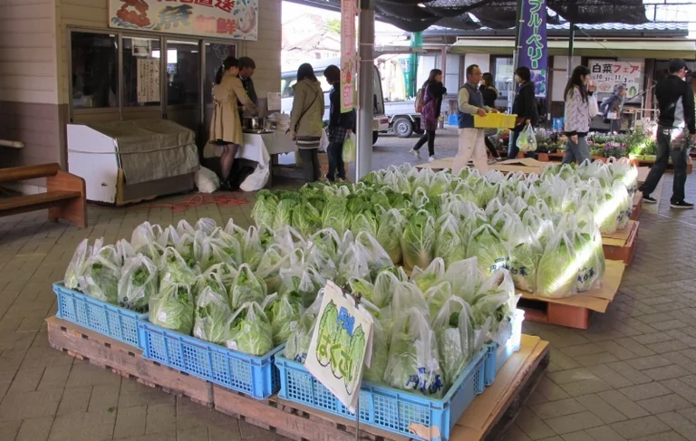Kamogawa Enjo - Image 3