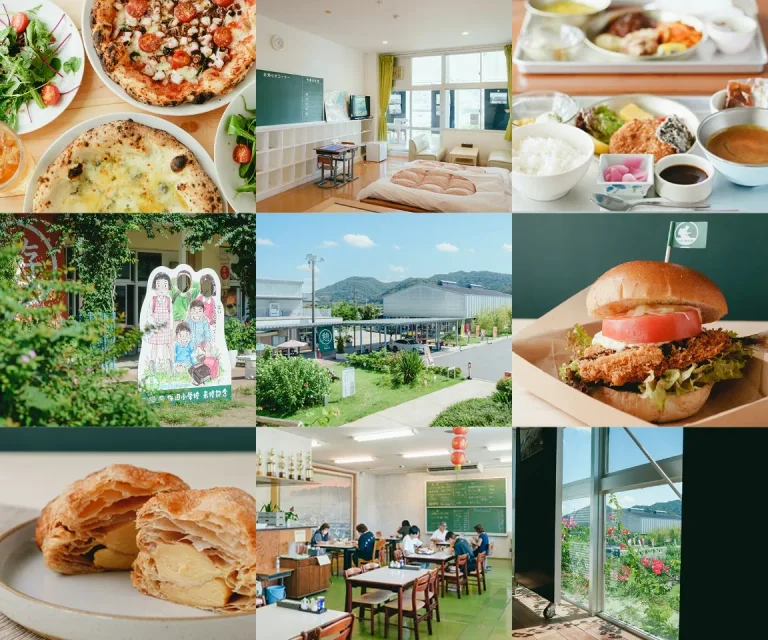 Hota Elementary School T-shirt