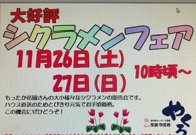 Cyclamen Flower Shop