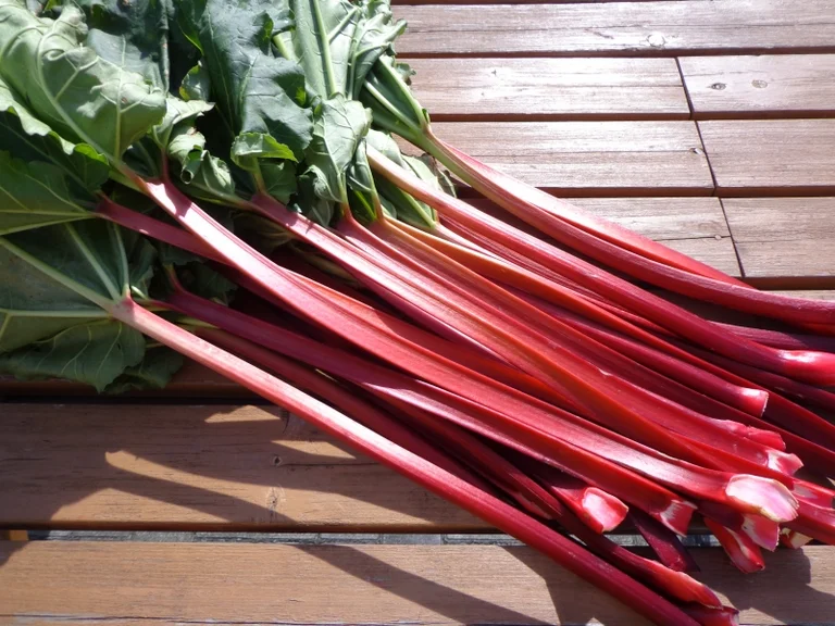 Shinshu Tsutaki Juku - Image 3