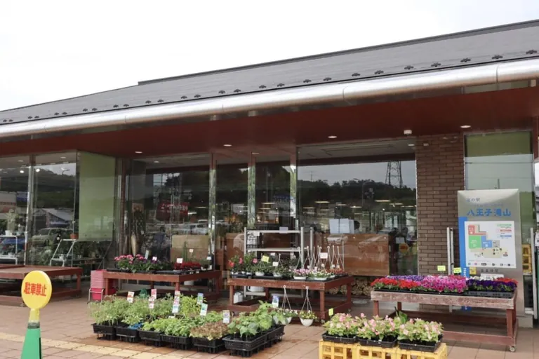 Hachioji Takiyama - Image 2