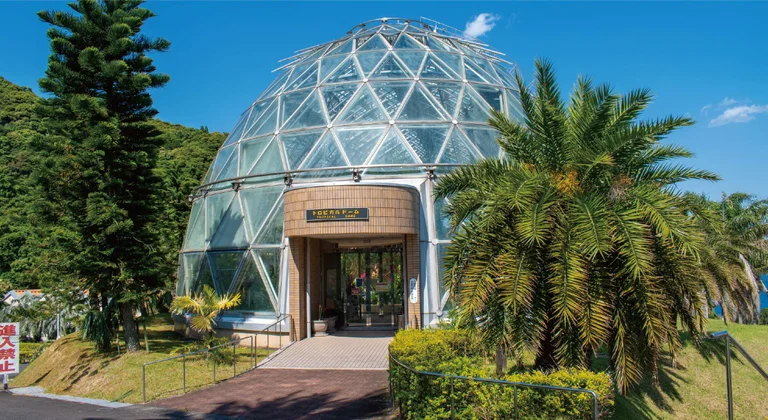 热带水果咖啡馆