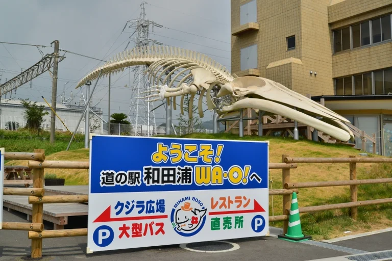 Wadaura WA・O! - Image 2