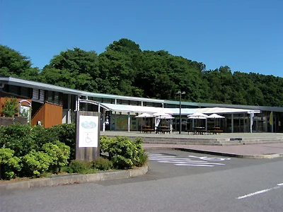 Azunosatoichihara - Image 2