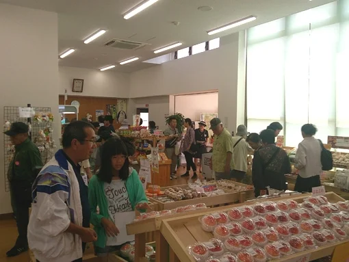 Katsurangi West (Upbound) - Image 3