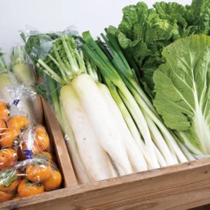 Oosato Healthy Vegetable Market