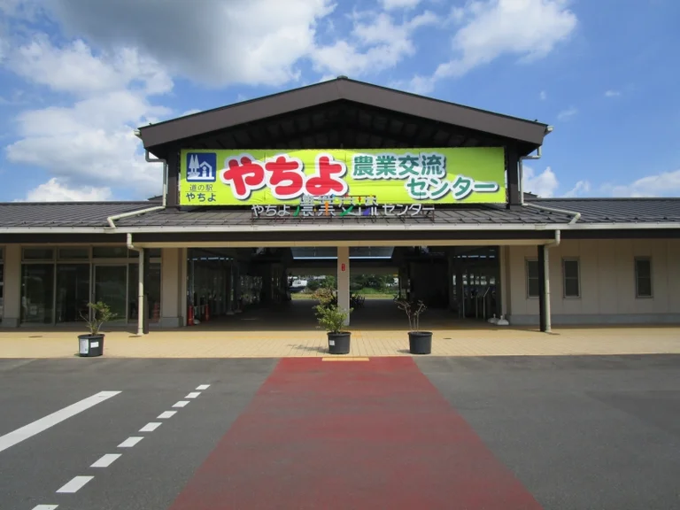 Yachiyo - Image 2