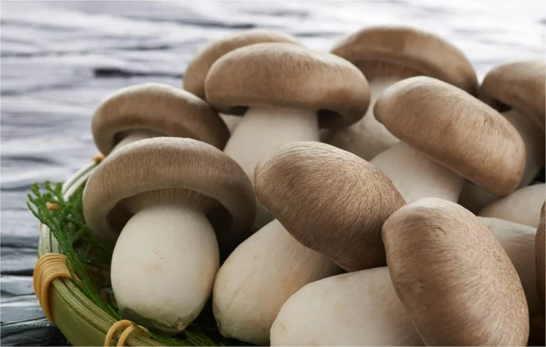 Mizuho no Sato Sarabiki - Image 3