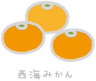 Sasebo West Sea Mandarine