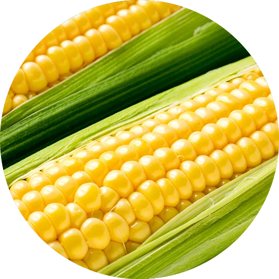 Corn