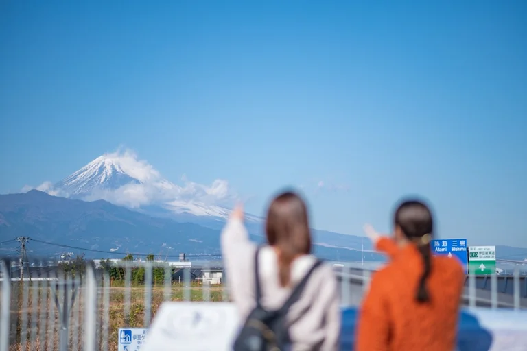 Izu Gateway Kannamivol - Image 3