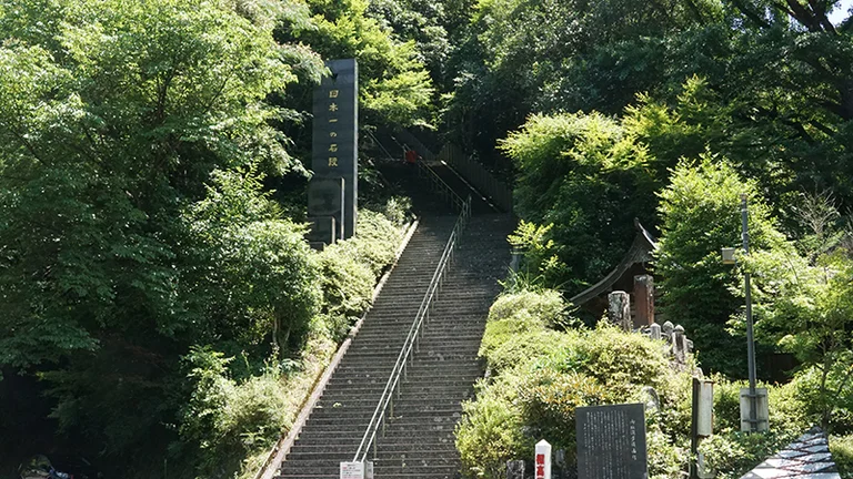 3333-Step Stone Path Guidebook