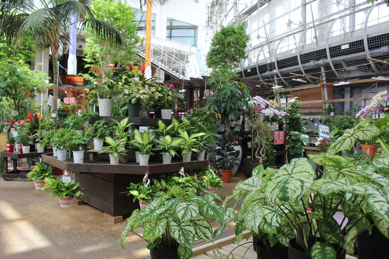 Farm-Grown Vegetables