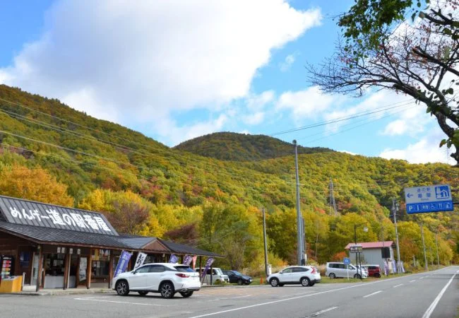 Tateiwa Farm Produce Market