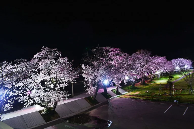 阿武町特製醬料