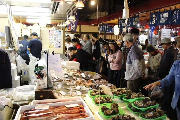 Hagi Shimart - Image 3