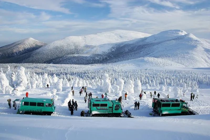 Skiers descending through fresh powder at a Tohoku resort