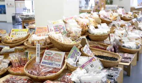 秋田港巴芭拉软冰淇淋