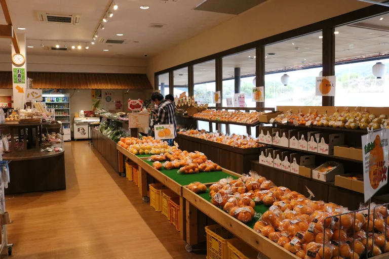 Katsuragi Local Vegetable Dried Snack