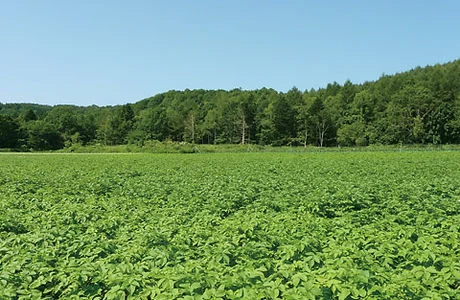 자연 휴양촌 공방