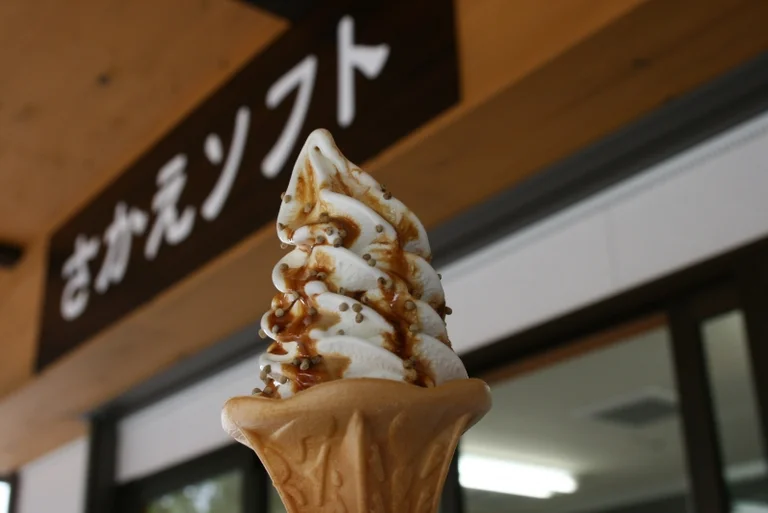 Shinestu Sakae - Image 3