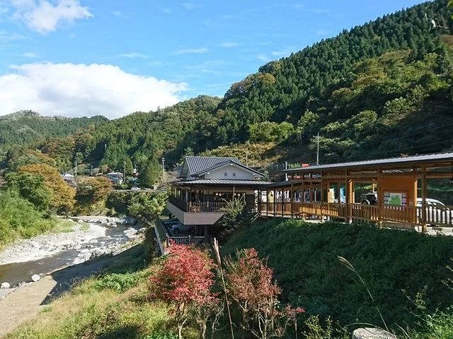 Oasis Nanmoku - Image 2