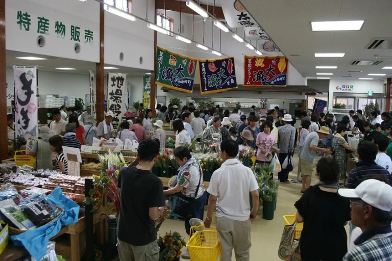 Kasaoka Bay Farm - Image 2