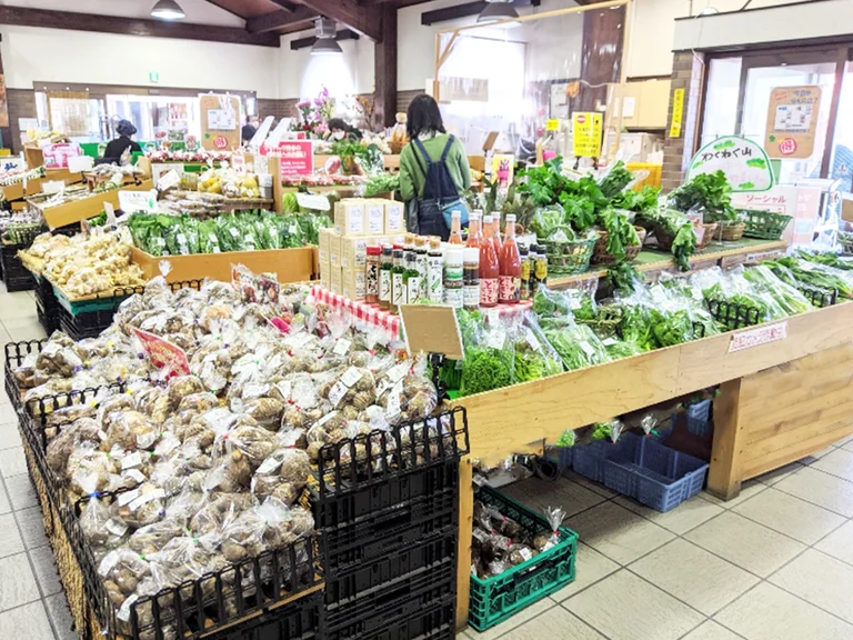 Seto Shinano - Image 2