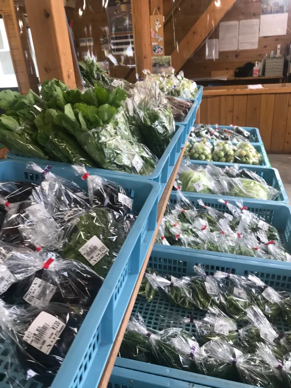 Tochios Aburage and Egg