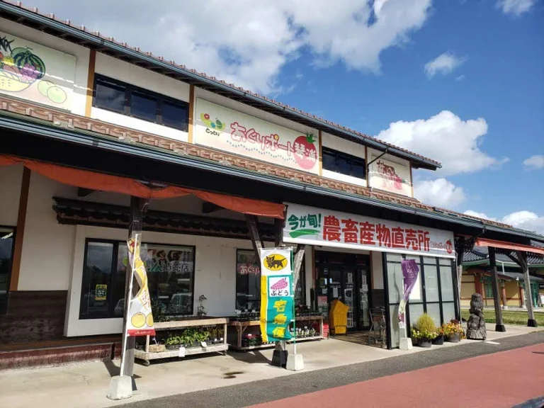 Port Akasaki - Image 3