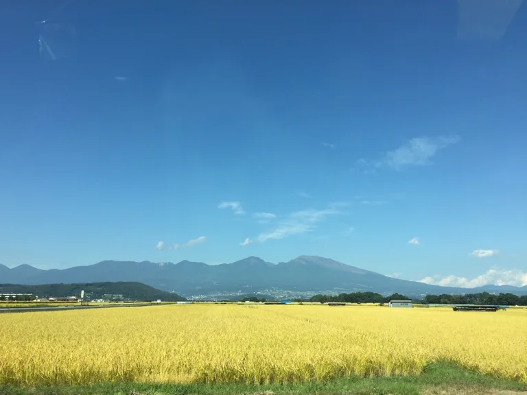 Hot Park Asakashina - Image 2