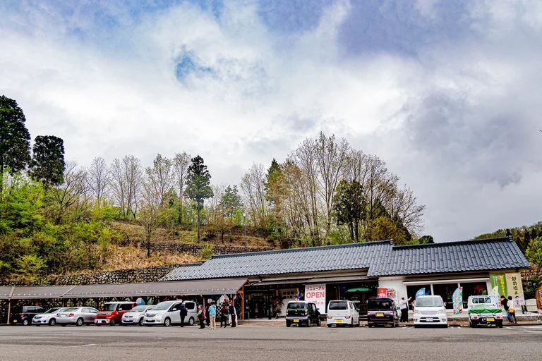 Park Inn Nyu-ga-Oka - Image 2