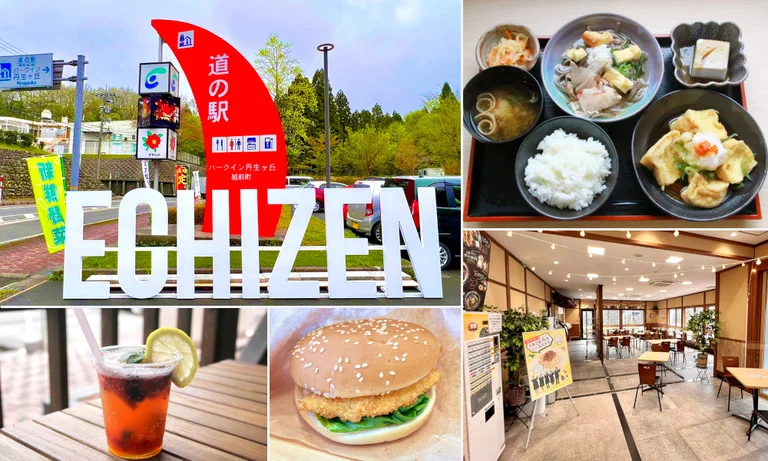 Park Inn Nyu-ga-Oka - Image 3