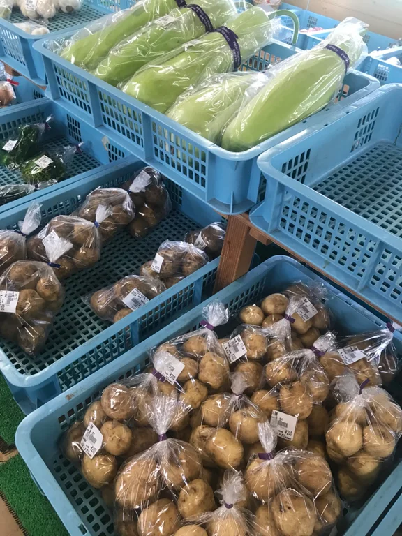 Tochios Aburage and Vegetables