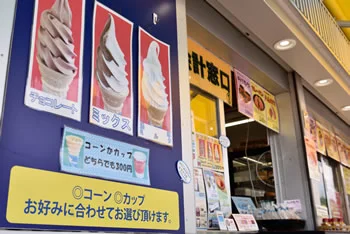 로이즈 소프트 크림