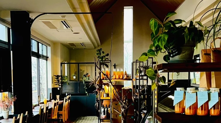 Clair Hirota - Image 3