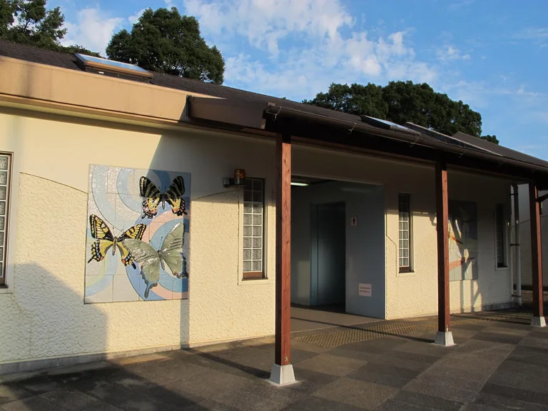 Stag Beetle and Rhinoceros Beetle Pair