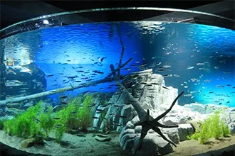 BonBonBERRY HOKKAIDO STAND