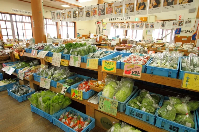 Yoshinogasato - Image 3