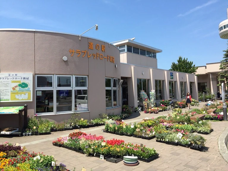 Thoroughbred Road Niikappu - Image 2