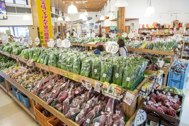 Fuwa-ri Shibayama - Image 2