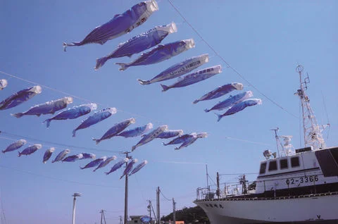 御前崎柑橘类果酱