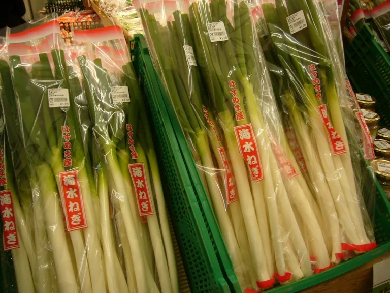 Orai Hasunuma - Image 2