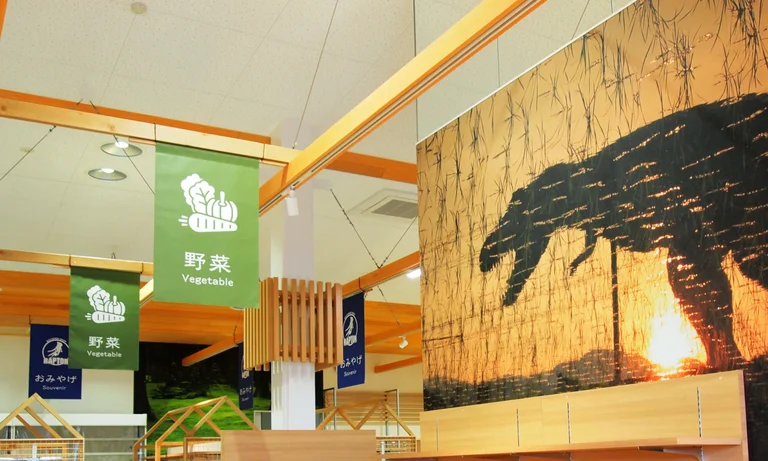 Souvenir Shop Raptor