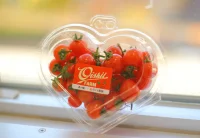 Fresh Produce Market