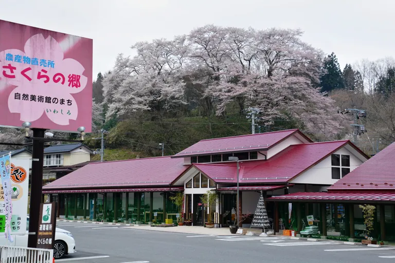 Sakura no Sato - Image 2