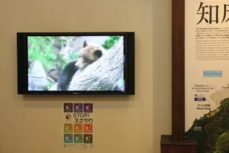 Siretoko Dining Hall