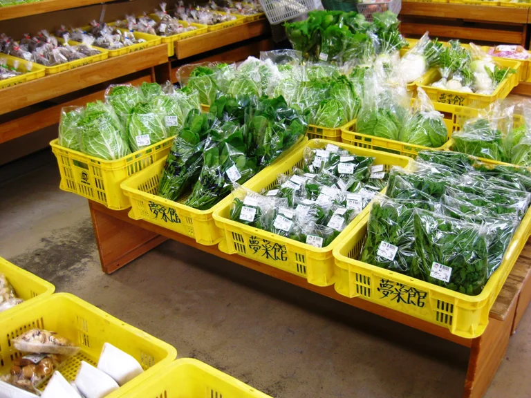 Dream Garden Agri-Shop