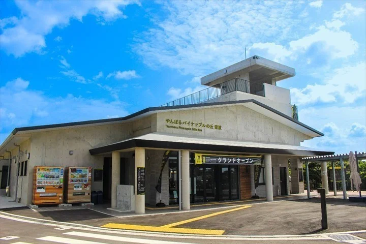 Yanbaru Pineapple no Oka Anpo - Image 3